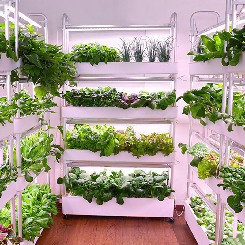 Smart Garden Box - Sistema de cultivo hidropónico Vertical inteligente