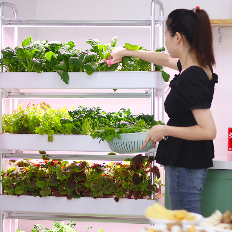 Sistema de cultivo hidropónico - Smart Garden Stackable Planters reseña y precio