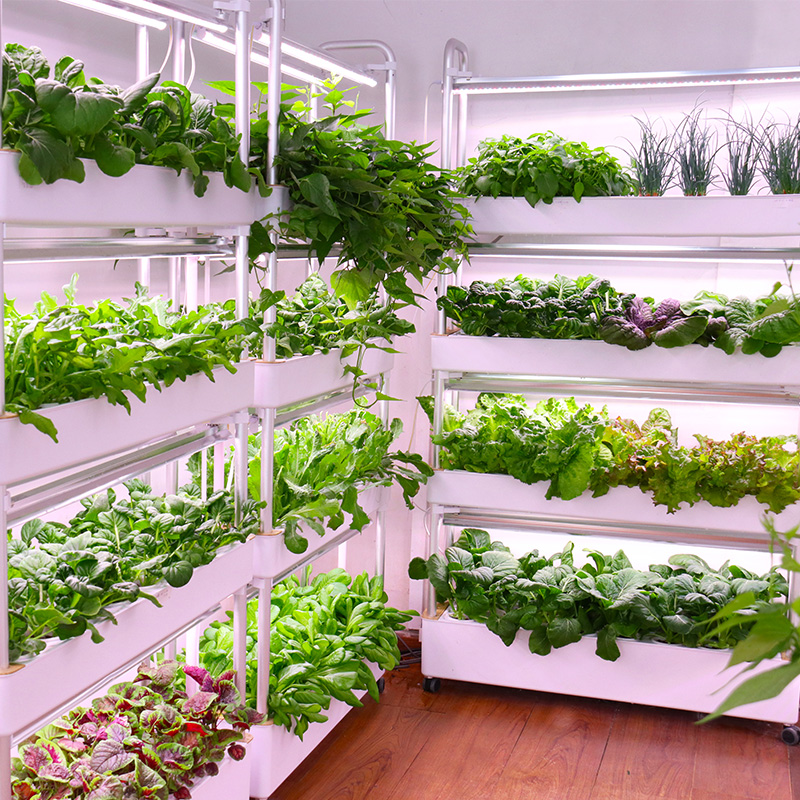 Sistema de cultivo hidropónico - Smart Garden Stackable Planters reseña y precio