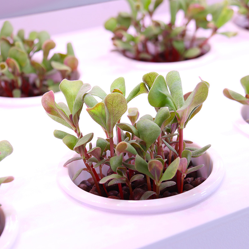 Sistema de cultivo hidropónico - Smart Garden Stackable Planters reseña y precio