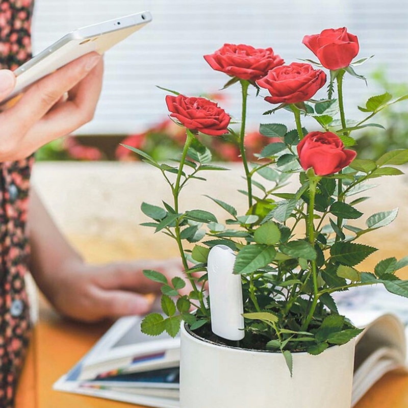 HHCC-Monitor de flores para el - Smart Garden Monitor reseña y precio