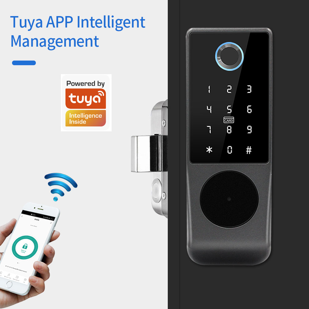 TUYA-cerradura de puerta intel - Smart Garden Door Lock reseña y precio
