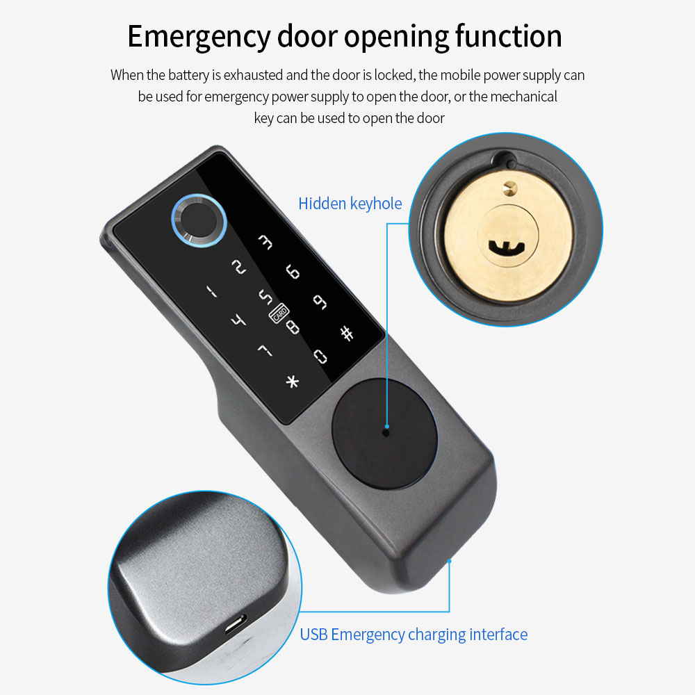 TUYA-cerradura de puerta intel - Smart Garden Door Lock reseña y precio