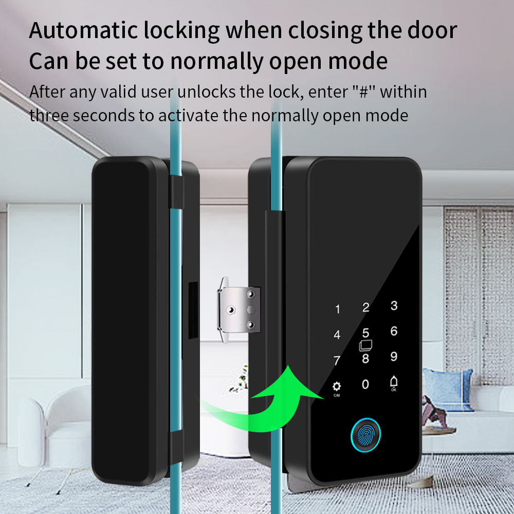 Tuya Smart Life-cerradura de p - Smart Garden Door Lock reseña y precio