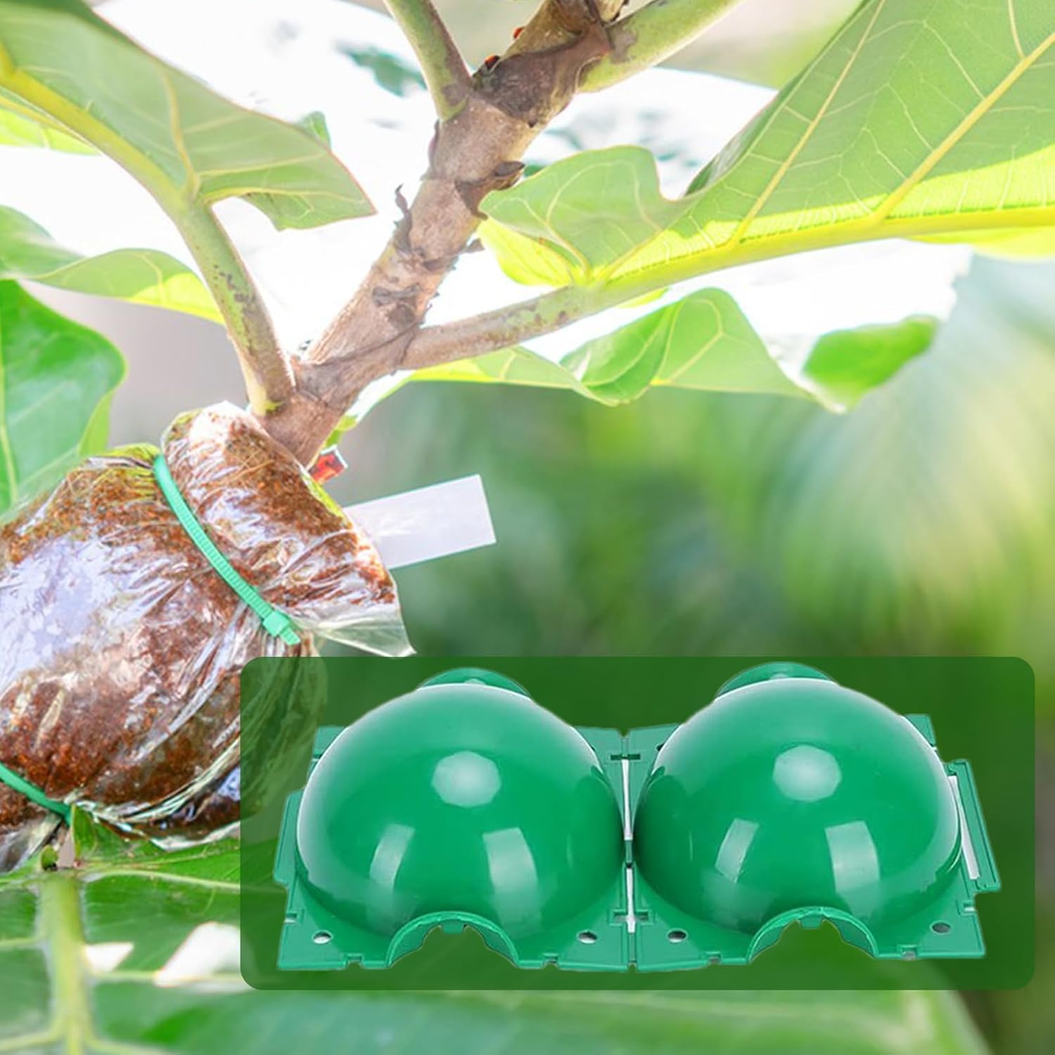 Bolas Reutilizables para Enrai - Smart Garden Box reseña y precio