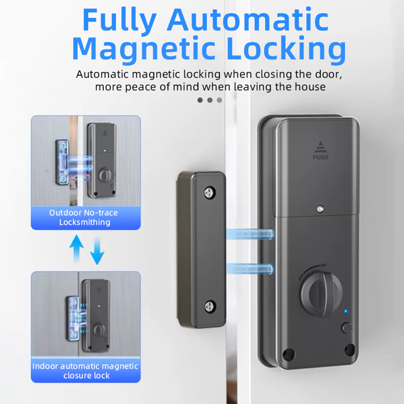 Cerradura Inteligente para Pue - Smart Garden Door Lock reseña y precio