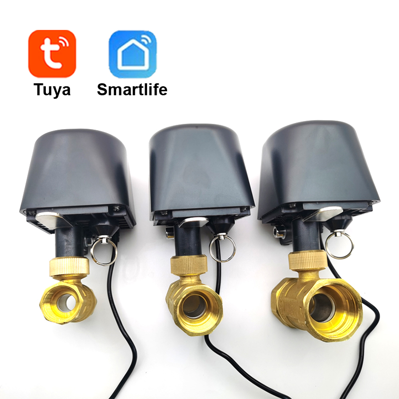 Tuya-válvula de agua WiFi o Zi - Smart Garden Zigbee reseña y precio